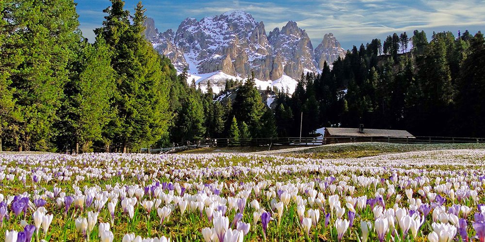 The spring welcomes you - the enchanting of the Isarco Valley