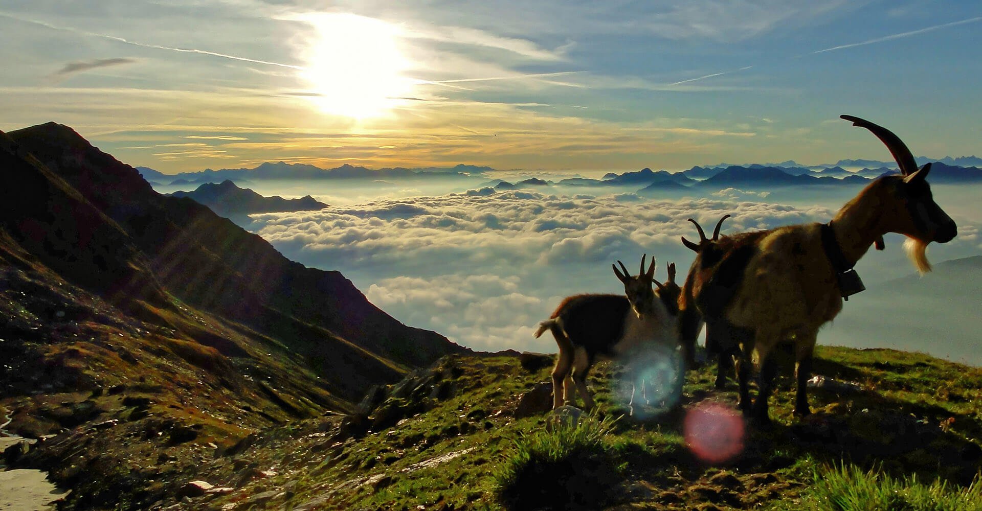 Sommerurlaub in Lüsen - Wanderungen auf der Lüsner Alm