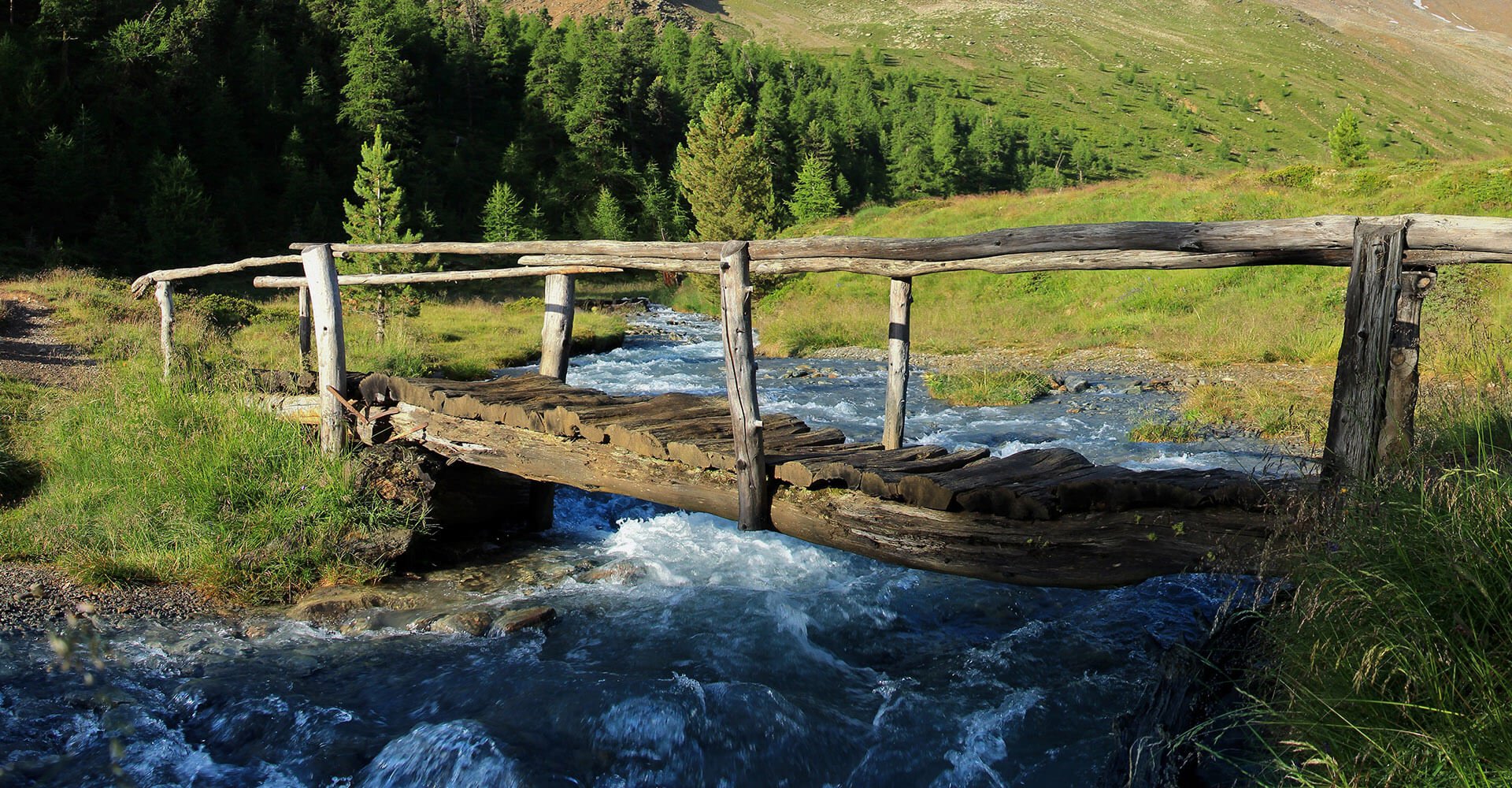 Sommerurlaub in Lüsen - Wanderungen auf der Lüsner Alm