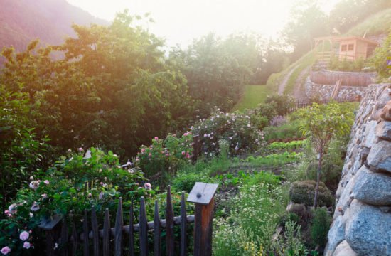 residencetirol-garden-15